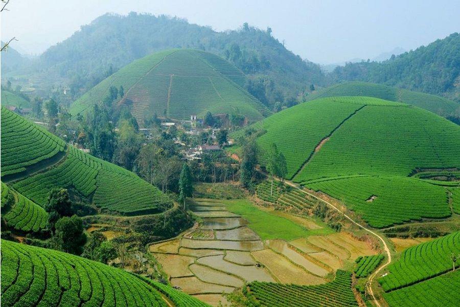 The Ancient Tea Hills of Suối Giàng: Life at 1,400 Meters